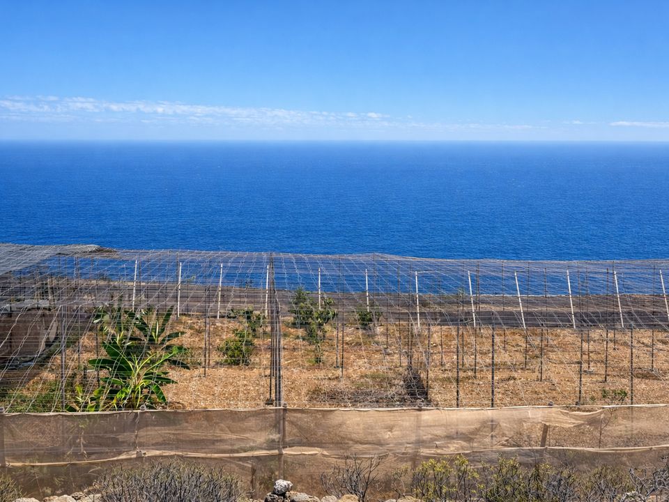 Lejlighed i Fasnia, Tenerife - foto 2